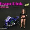 Team Pink Paddock Girl, American Diorama 77487 - 1/24 Scale Accessory For Diecast Cars -ModelToyCars Shop 77487 AD Team Pink Paddock Girl 124 1 AZ 96183.1610379676.386.513